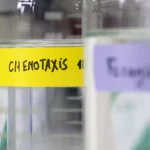 crca_equipe_Jeanson_Project2_5