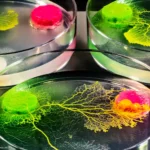 crca_equipe_Jeanson_Project1_3