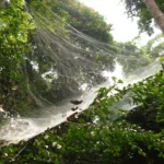 crca_equipe_Jeanson_Project5_8