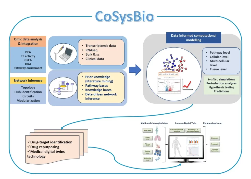 Team CoSysBio sujets de recherche