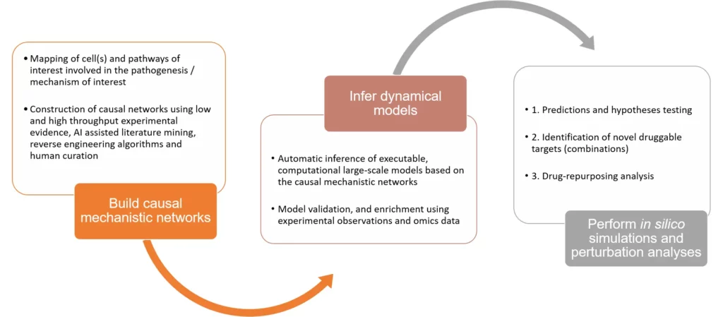 Diagramme des étapes de construction et d'inférence de modèles causaux pour des simulations in silico et l'analyse de perturbation.