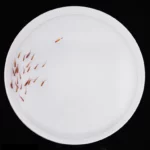 Photo d'un banc de poissons dans un plateau d'observation