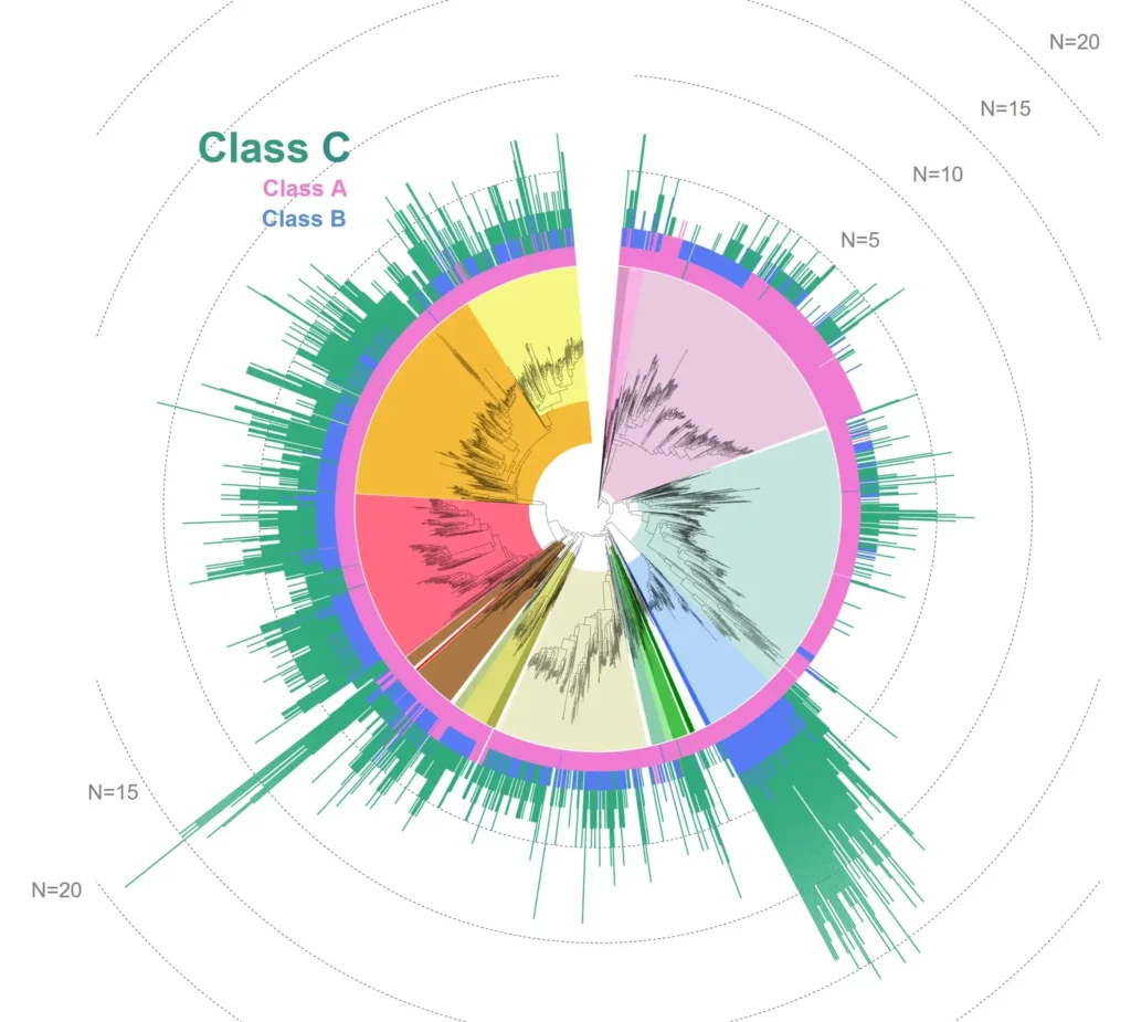 Schéma Réseaux de chaperons moléculaires