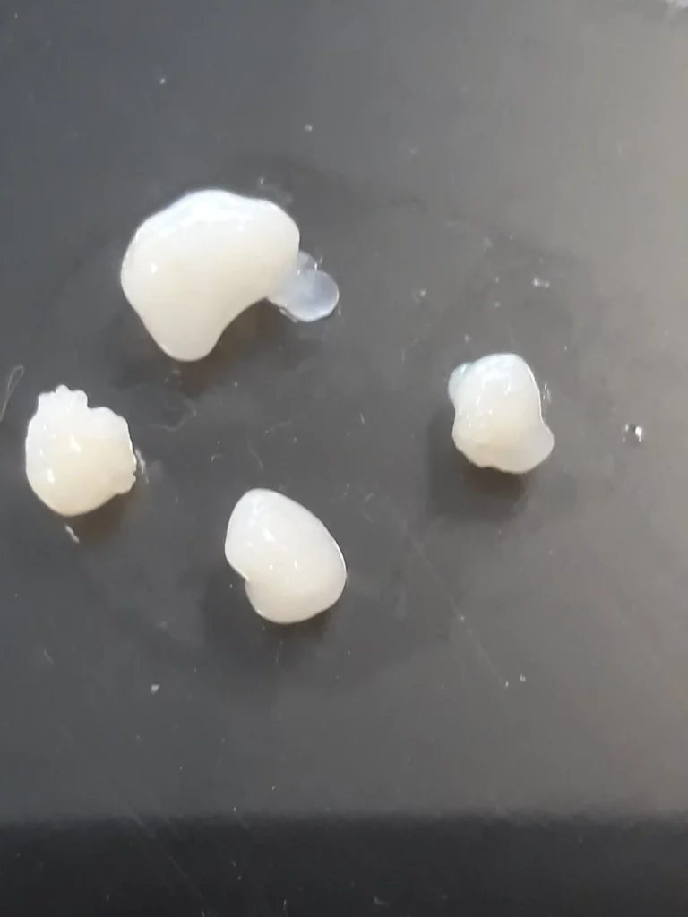 Photo Illustration travaux sur les Organoides humains et modèles pré-cliniques