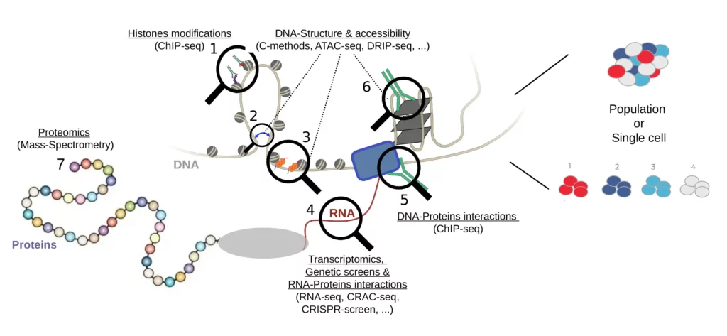 Schéma explication travaux plateforme BigA