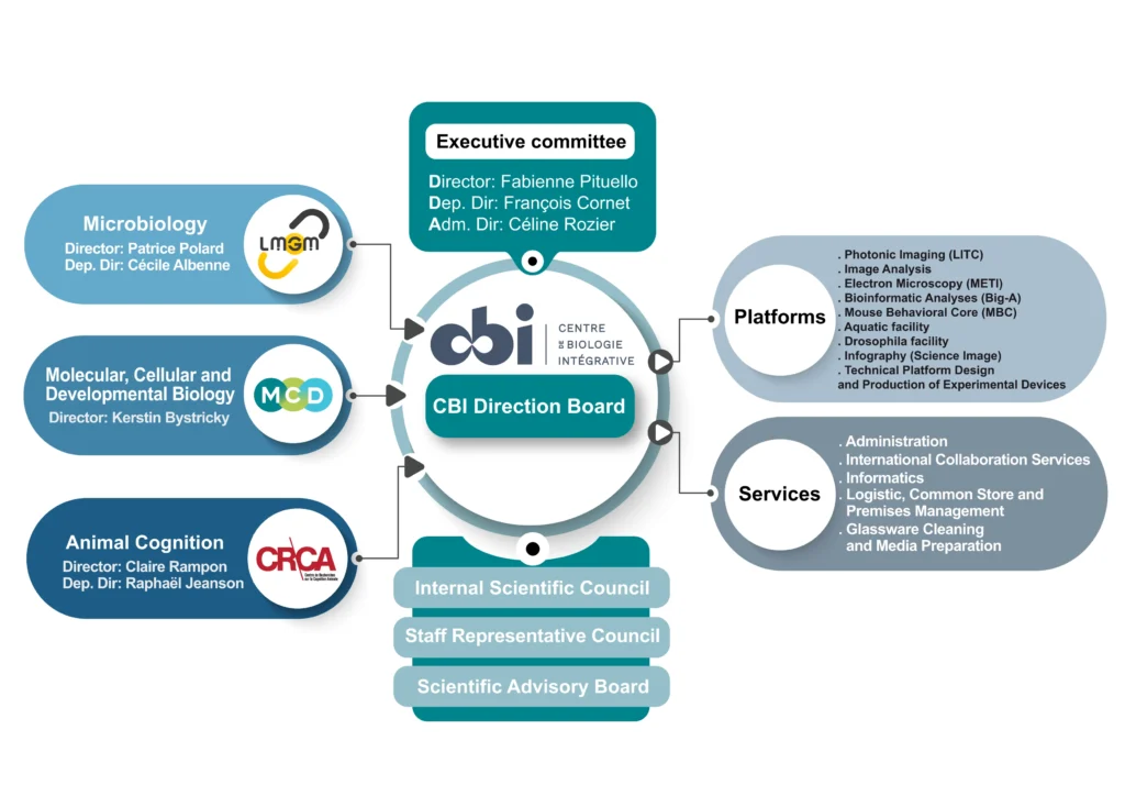 Organigramme général