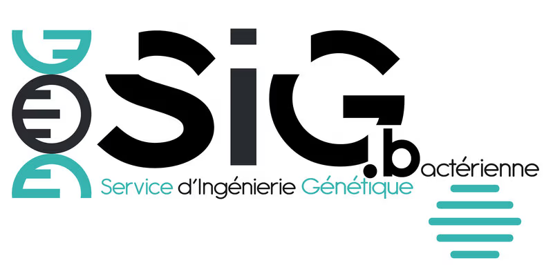 logo Service d’Ingénierie Génétique bactérienne SIGb